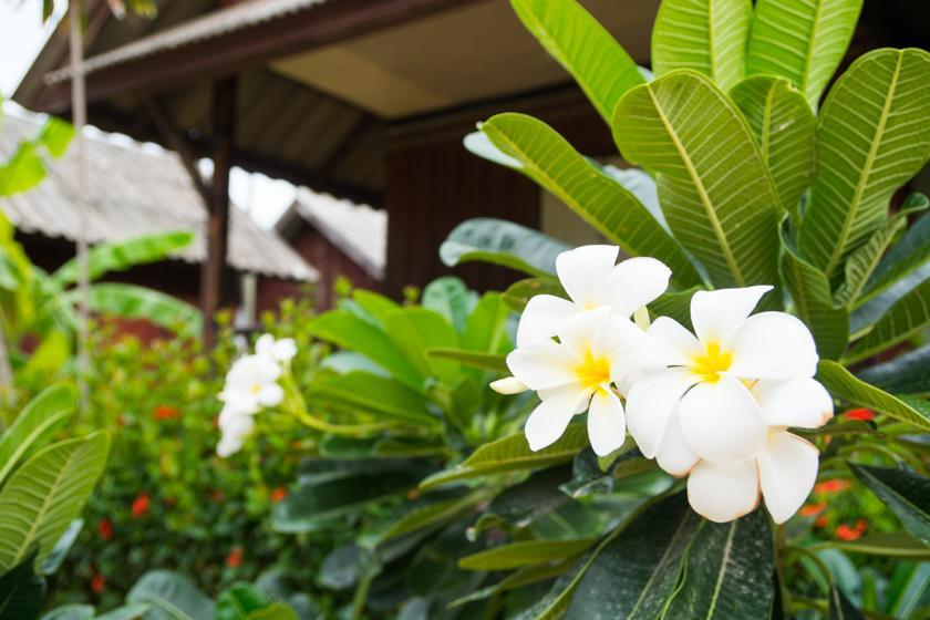 Weekender Bungalow Lamai Beach  Luaran gambar