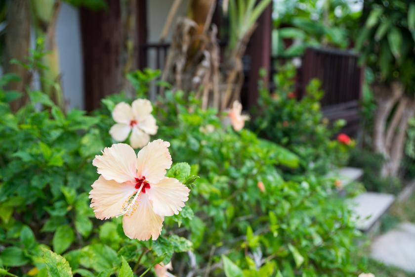 Weekender Bungalow Lamai Beach  Luaran gambar